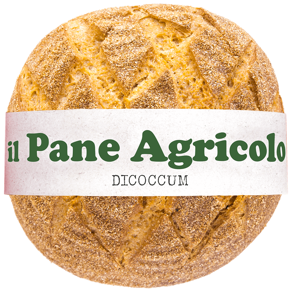 Pagnotta di pane agricolo al farro dicoccum arteagricola
