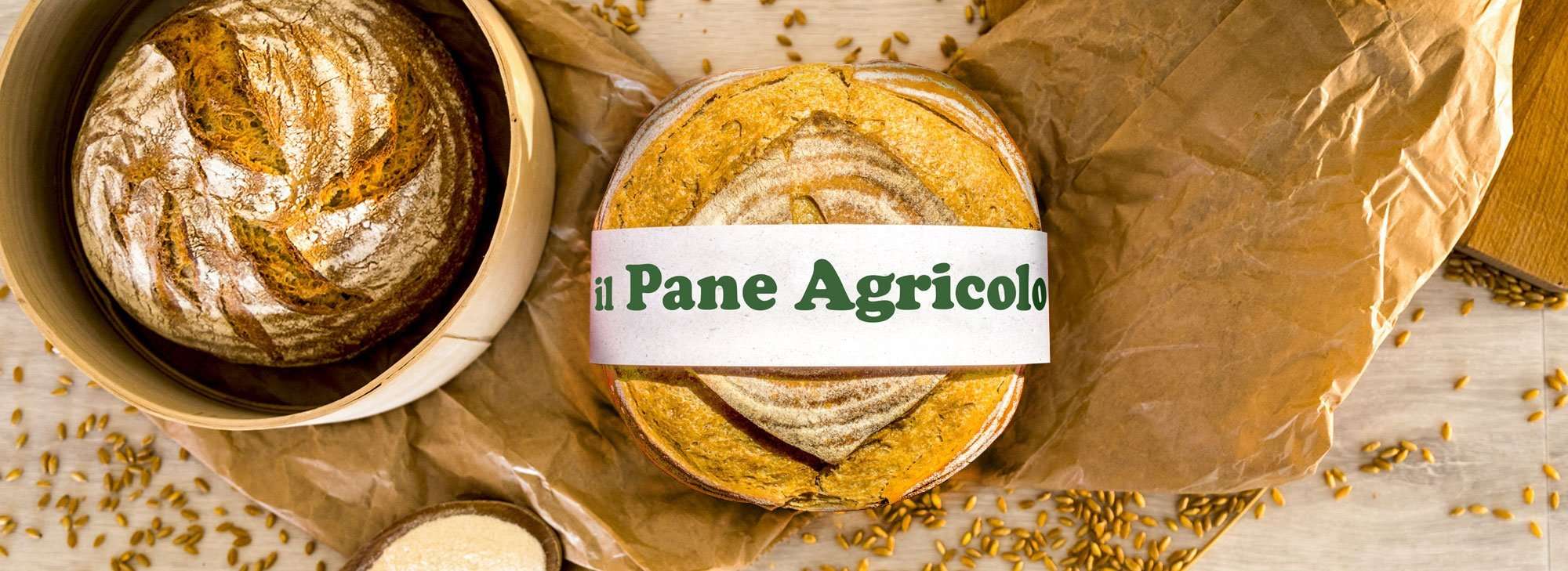 Il Progetto Agricolo: un patto sociale tra agricoltore, artigiano e consumatore.