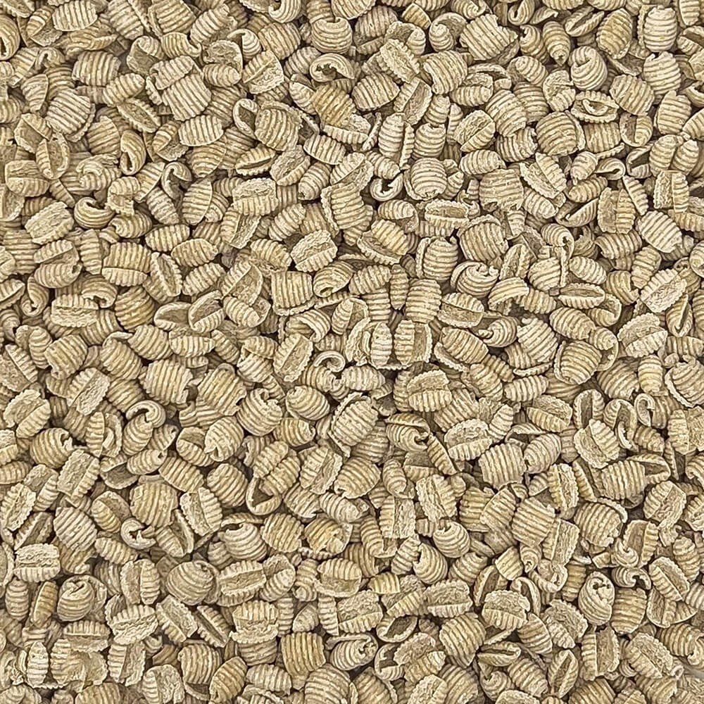 Prodotto biologico di orzo dettaglio - Arteagricola pasta bio artigianale