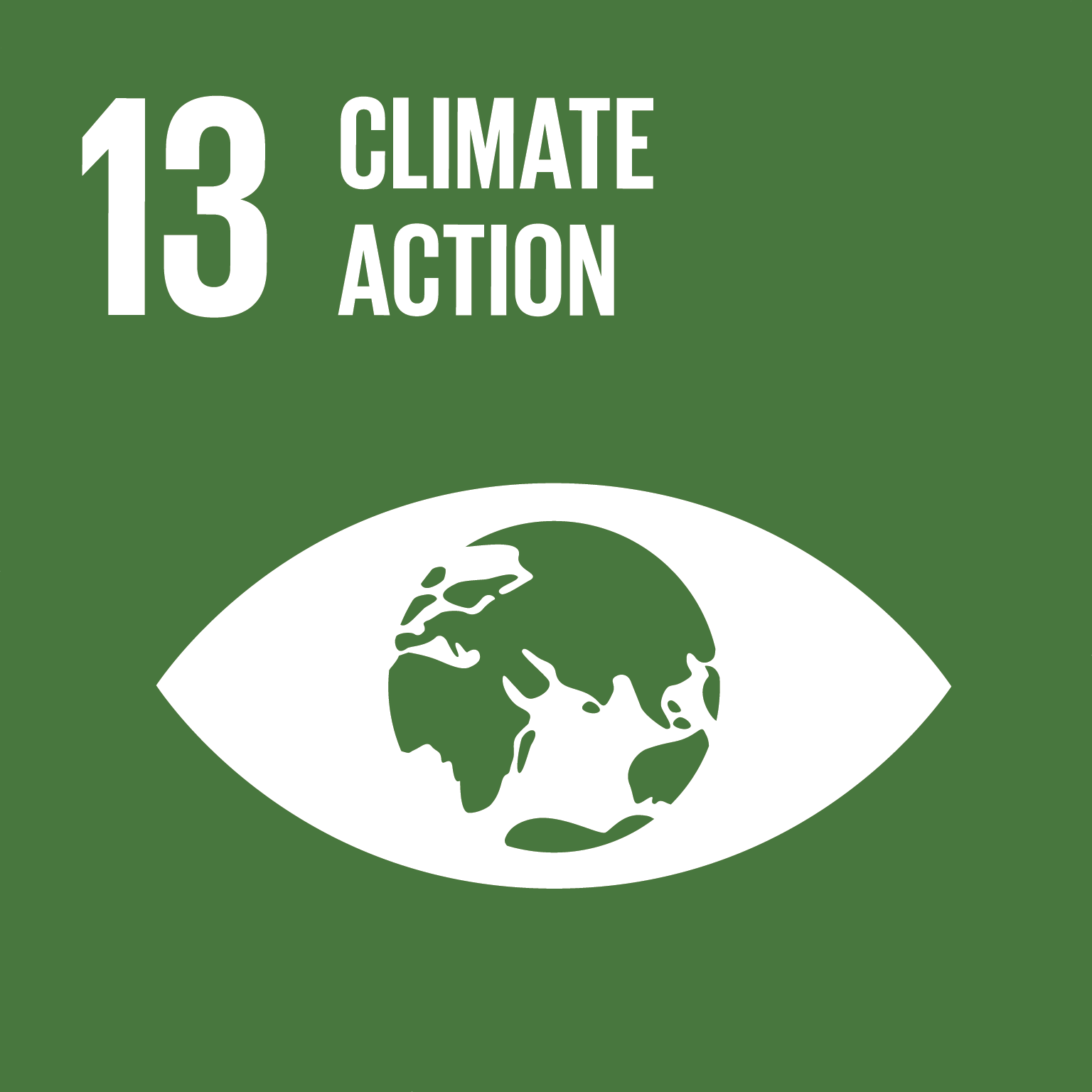 Icona ufficiale SDG 13 Agenda 2030 ONU - arteagricola